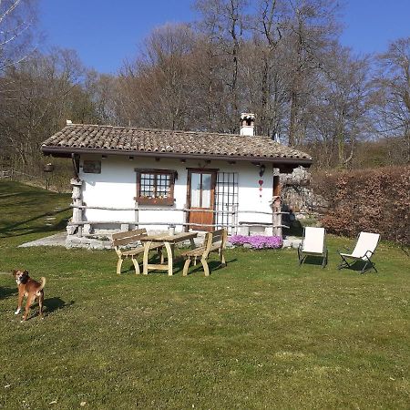 Baita Tana Da L'Ors Forgaria nel Friuli Εξωτερικό φωτογραφία