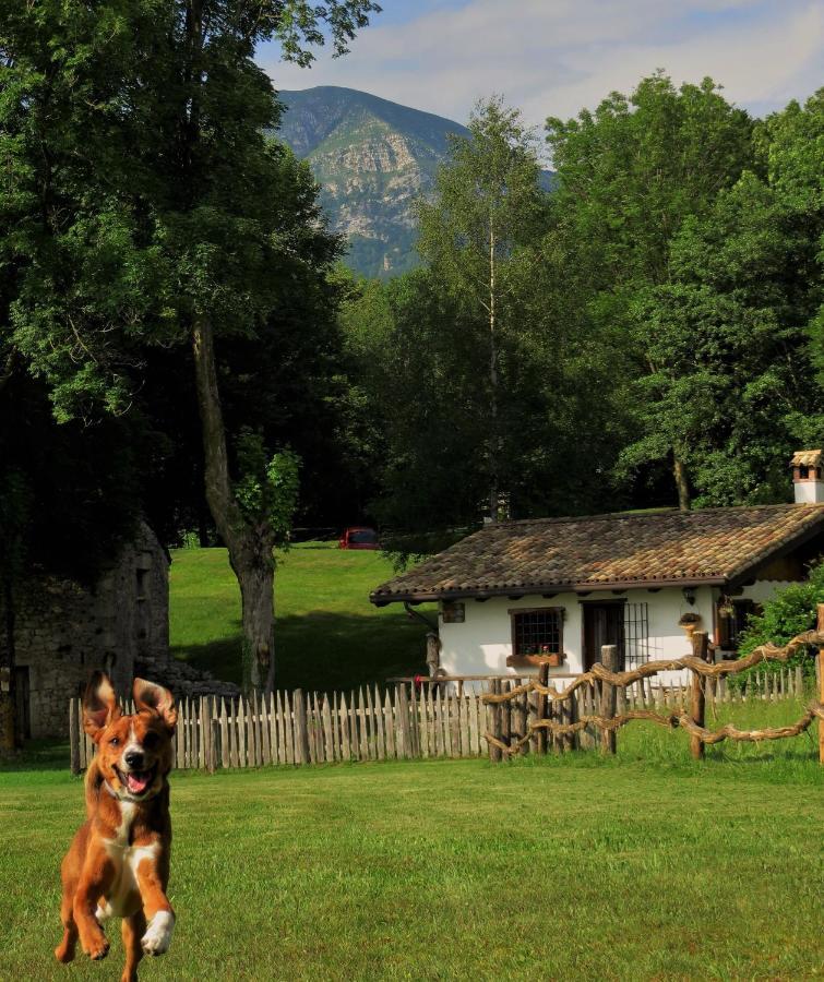 Baita Tana Da L'Ors Forgaria nel Friuli Εξωτερικό φωτογραφία
