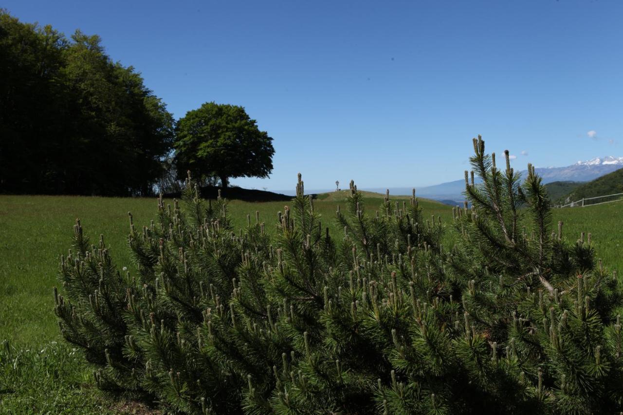 Baita Tana Da L'Ors Forgaria nel Friuli Εξωτερικό φωτογραφία