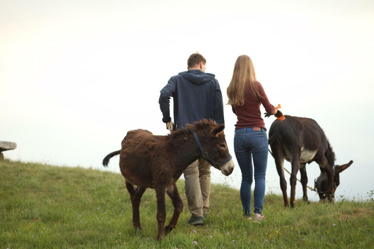 Baita Tana Da L'Ors Forgaria nel Friuli Εξωτερικό φωτογραφία